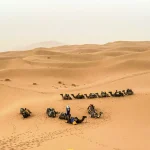 5 days desert tours
